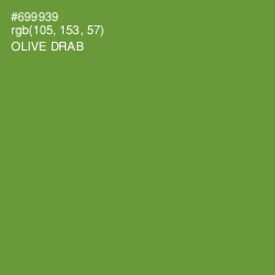 #699939 - Olive Drab Color Image